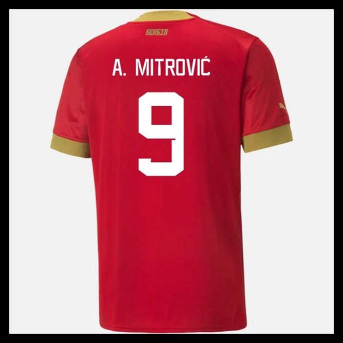 Billige Fodboldtrøjer Serbien VM I Fodbold 2022 A MITROVIC #9 Hjemmebanetrøje